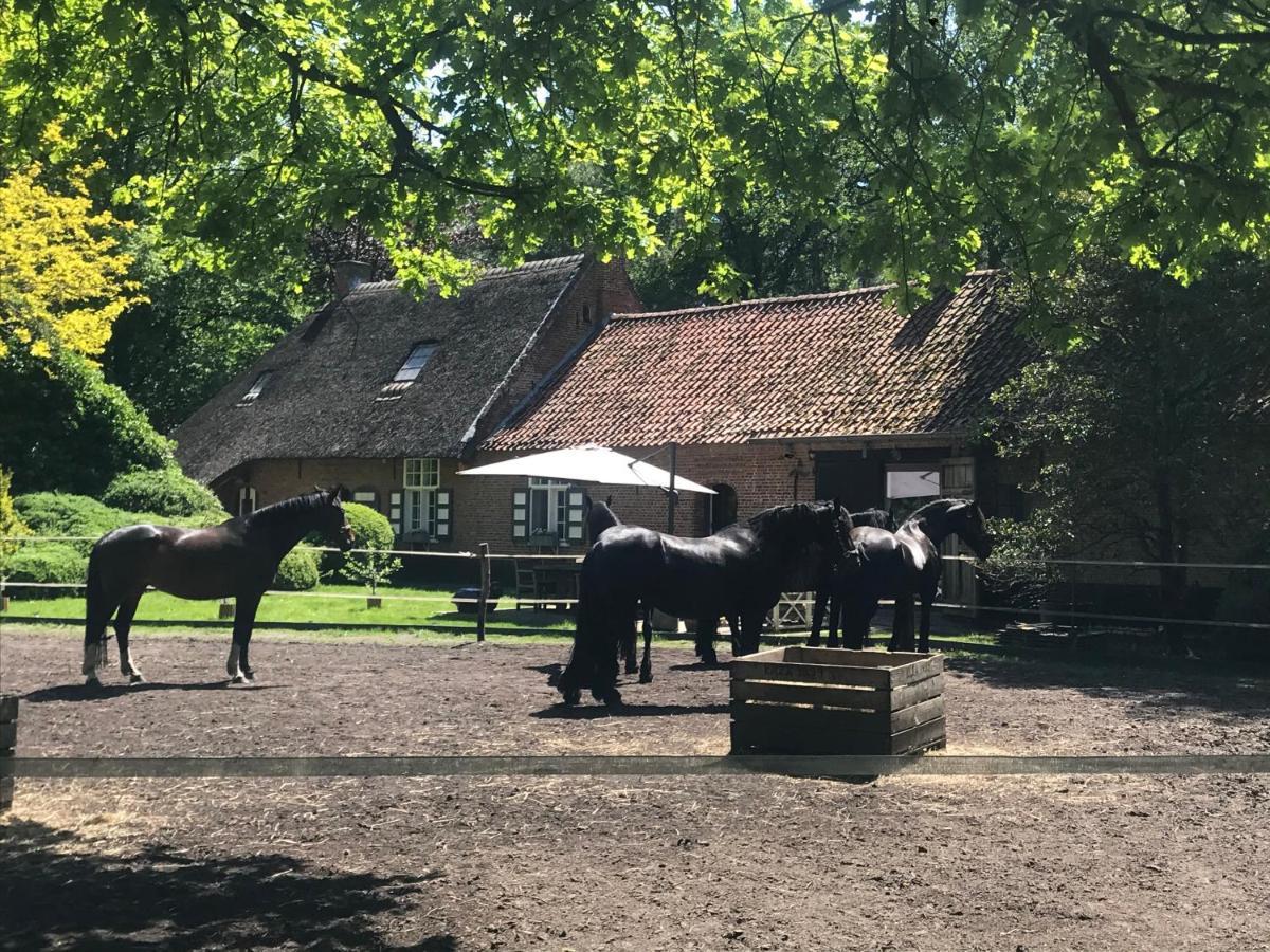 De Swaenhoeve Zoersel Экстерьер фото