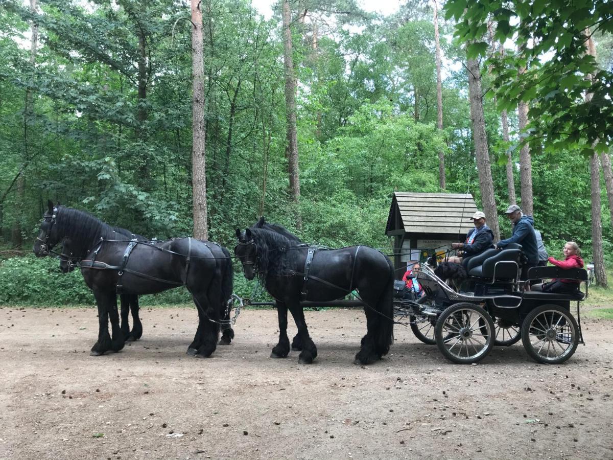 De Swaenhoeve Zoersel Экстерьер фото