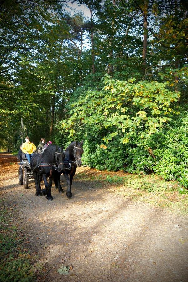 De Swaenhoeve Zoersel Экстерьер фото