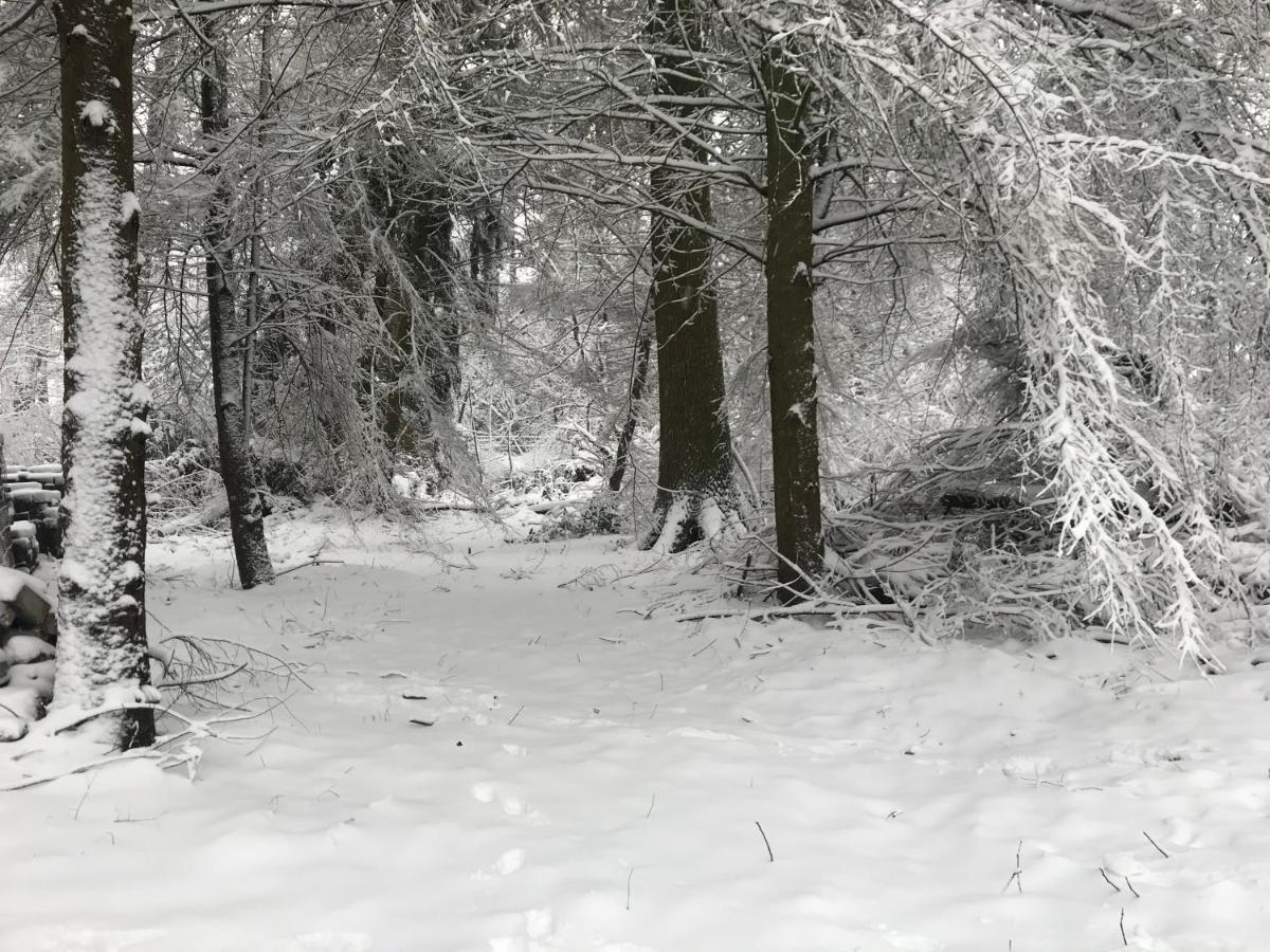 De Swaenhoeve Zoersel Экстерьер фото